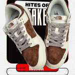 NIKE DUNK : NIKE X The North Face