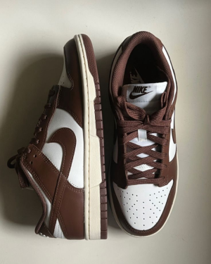 Nike sb pro